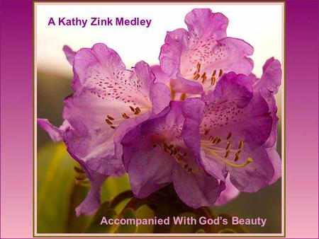 A Kathy Zink Medley Accompanied With Gods Beauty.