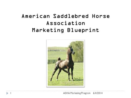 6/4/2014ASHA Marketing Program1 American Saddlebred Horse Association Marketing Blueprint.