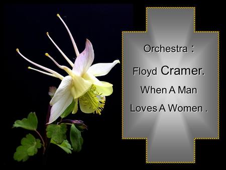 Orchestra Orchestra : Floyd Floyd Cramer. When A Man Loves A Women.