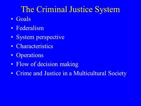 The Criminal Justice System