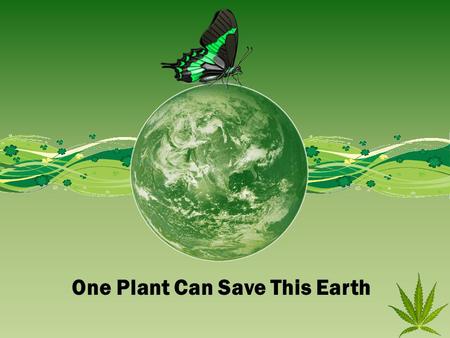 One Plant Can Save This Earth