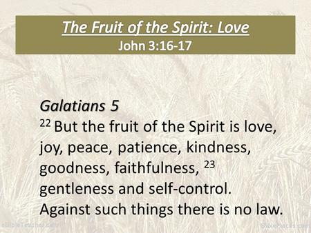 Galatians 5 22 But the fruit of the Spirit is love, joy, peace, patience, kindness, goodness, faithfulness, 23 gentleness and self-control. Against such.