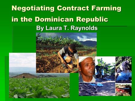 Negotiating Contract Farming in the Dominican Republic By Laura T. Raynolds.