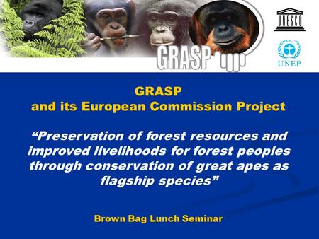 GRASP and its European Commission Project Preservation of forest resources and improved livelihoods for forest peoples through conservation of great apes.