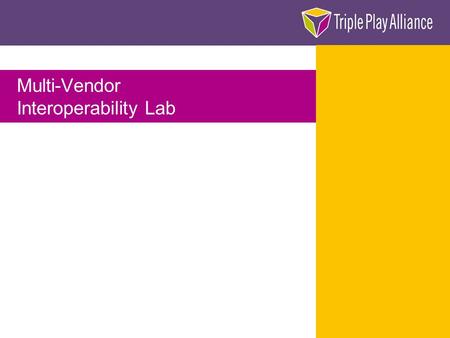 Multi-Vendor Interoperability Lab. page 2 From process optimization to solutions Supplier Consulter Triple Play Customer EMS Sub- contractor Consortium.