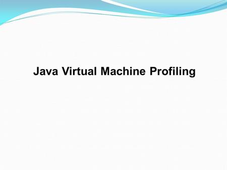 Java Virtual Machine Profiling