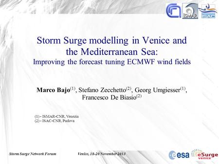 Storm Surge Network ForumVenice, 18-20 November 2013 Storm Surge modelling in Venice and the Mediterranean Sea: Improving the forecast tuning ECMWF wind.