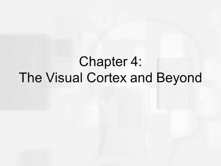 Chapter 4: The Visual Cortex and Beyond