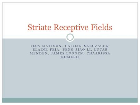 TESS MATTSON, CAITLIN SKLUZACEK, BLAINE FEIA, PENG JIAO LI, LUCAS MENDEN, JAMES LOONEN, CHAARISSA ROMERO Striate Receptive Fields.