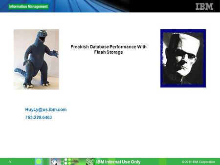 © 2011 IBM Corporation 1 IBM Internal Use Only 763.228.6463 Freakish Database Performance With Flash Storage.