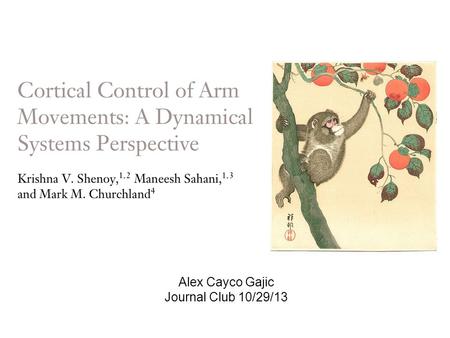 Alex Cayco Gajic Journal Club 10/29/13. How does motor cortex generate muscle activity? Representational perspective: Muscle activity or abstract trajectory.