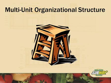 Multi-Unit Organizational Structure. Objective To Implement a Multi-Unit Organizational Structure that will maximize efficiency and potential profitability.