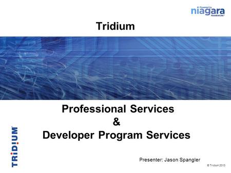 Professional Services Developer Program Services