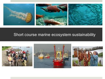 Short course marine ecosystem sustainability. Motivation Holistic approach to management addresses biophysical and social complexities Social-ecological.