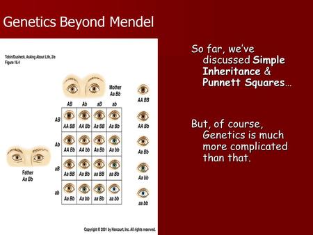 So far, weve discussed Simple Inheritance & Punnett Squares… But, of course, Genetics is much more complicated than that. Genetics Beyond Mendel.