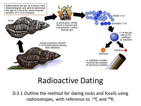 Radioactive Dating D.3.1 Outline the method for dating rocks and fossils using radioisotopes, with reference to 14C and 40K.