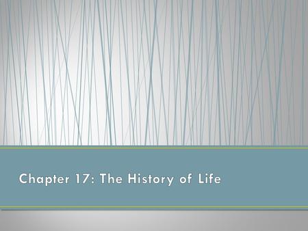 Chapter 17: The History of Life