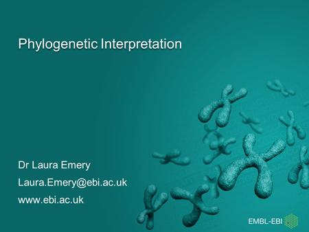 Phylogenetic Interpretation