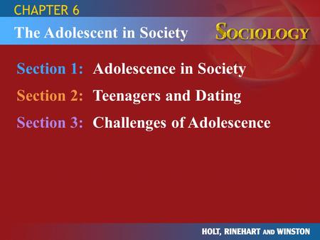 The Adolescent in Society