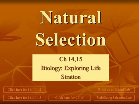 Ch 14,15 Biology: Exploring Life Stratton