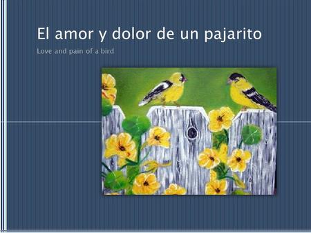 El amor y dolor de un pajarito Love and pain of a bird.