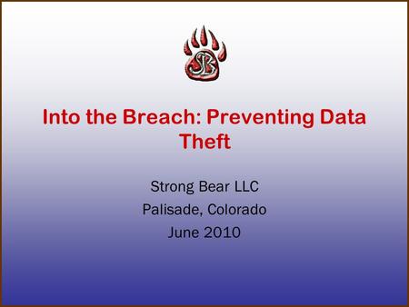 Into the Breach: Preventing Data Theft Strong Bear LLC Palisade, Colorado June 2010.