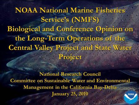 NOAA National Marine Fisheries Service’s (NMFS)