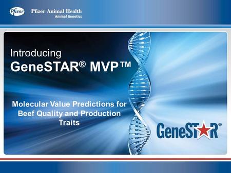 Introducing GeneSTAR ® MVP Molecular Value Predictions for Beef Quality and Production Traits.