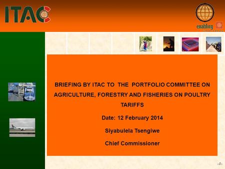 1 BRIEFING BY ITAC TO THE PORTFOLIO COMMITTEE ON AGRICULTURE, FORESTRY AND FISHERIES ON POULTRY TARIFFS Date: 12 February 2014 Siyabulela Tsengiwe Chief.