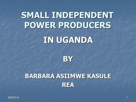 SMALL INDEPENDENT POWER PRODUCERS