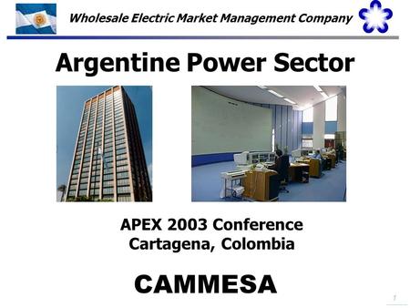 Argentine Power Sector