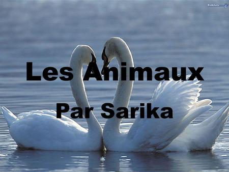 Les Animaux Par Sarika. Question 1. a) un chat b) une grenouille c) un lapin.