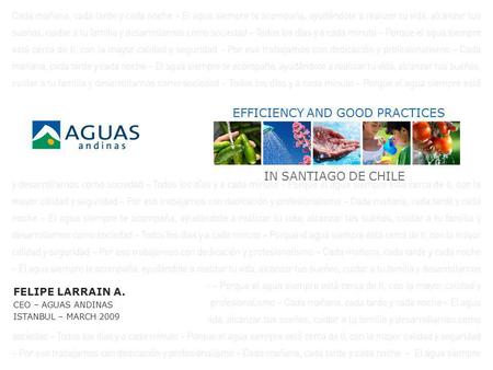 FELIPE LARRAIN A. CEO – AGUAS ANDINAS ISTANBUL – MARCH 2009 EFFICIENCY AND GOOD PRACTICES IN SANTIAGO DE CHILE.