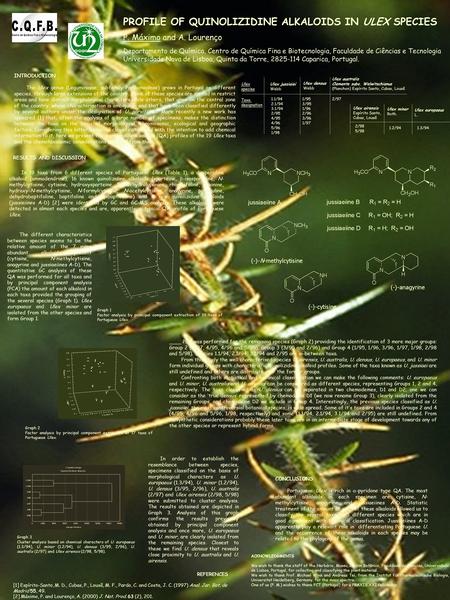 PROFILE OF QUINOLIZIDINE ALKALOIDS IN ULEX SPECIES P. Máximo and A. Lourenço Departamento de Química, Centro de Química Fina e Biotecnologia, Faculdade.