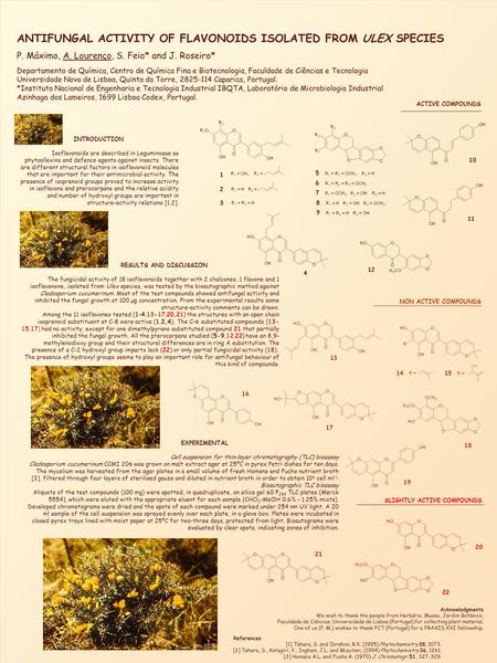 ANTIFUNGAL ACTIVITY OF FLAVONOIDS ISOLATED FROM ULEX SPECIES P. Máximo, A. Lourenço, S. Feio* and J. Roseiro* Departamento de Química, Centro de Química.