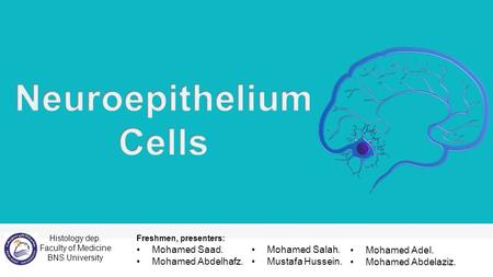 Histology dep. Faculty of Medicine BNS University Freshmen, presenters: Mohamed Saad. Mohamed Abdelhafz. Mohamed Salah. Mustafa Hussein. Mohamed Adel.