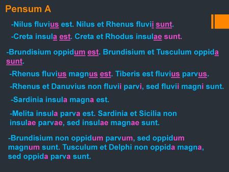 Pensum A -Nilus fluvius est. Nilus et Rhenus fluvii sunt.