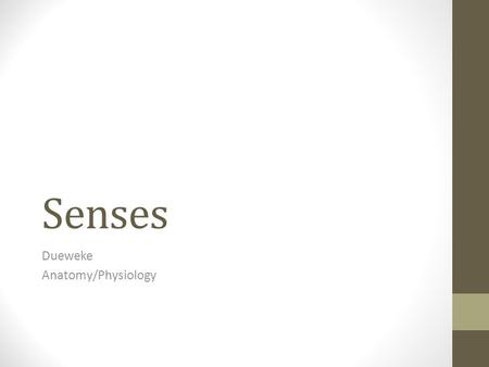 Senses Dueweke Anatomy/Physiology. What are our senses? Remember, all sensory info is picked up by sensory receptors and transmitted along sensory neurons.