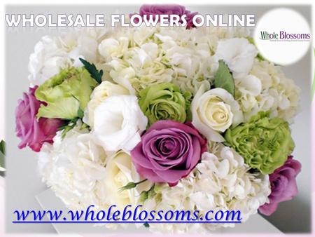 Wholesale Flowers Online  - www.wholeblossoms.com