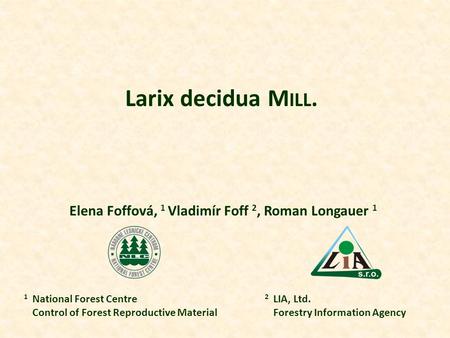 Larix decidua M ILL. Elena Foffová, 1 Vladimír Foff 2, Roman Longauer 1 1 National Forest Centre Control of Forest Reproductive Material 2 LIA, Ltd. Forestry.