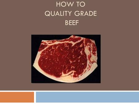 How to Quality Grade Beef