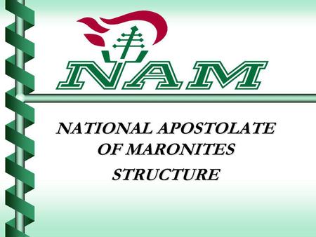 NATIONAL APOSTOLATE OF MARONITES STRUCTURE. Organizational Chart.