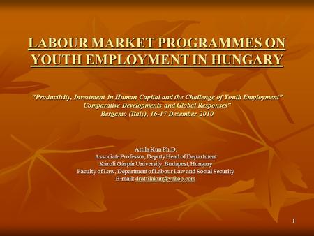 1 LABOUR MARKET PROGRAMMES ON YOUTH EMPLOYMENT IN HUNGARY Productivity, Investment in Human Capital and the Challenge of Youth Employment Comparative.