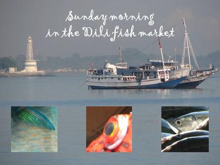 Sunday morning in the Dili fish market. The fish market – perhaps only one of several such markets – is some 15 minutes walking from my hotel in Dili,