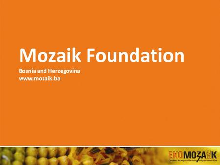 Mozaik Foundation Bosnia and Herzegovina www.mozaik.ba.