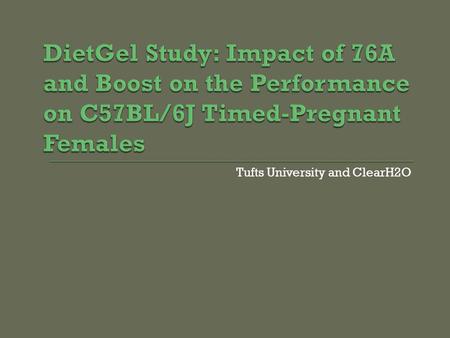 Tufts University and ClearH2O. 5 groups of timed pregnant females Regular Chow only Regular Chow + 76A gel Regular Chow + Boost gel Breeder Chow only.