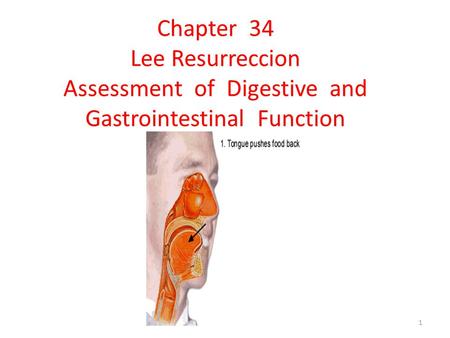 Organs of the Digestive System