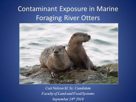 Contaminant Exposure in Marine Foraging River Otters Cait Nelson M. Sc. Candidate Faculty of Land and Food Systems September 24 th 2010.