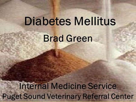 Internal Medicine Service Puget Sound Veterinary Referral Center