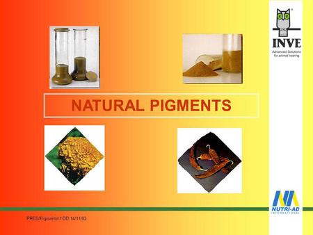 NATURAL PIGMENTS PRES/Pigments/1 DD 14/11/02.